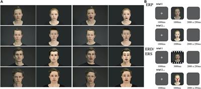 The Effects of Dynamic and Static Emotional Facial Expressions of Humans and Their Avatars on the EEG: An ERP and ERD/ERS Study